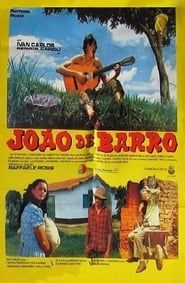 João de Barro-hd
