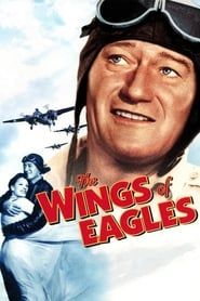 The Wings of Eagles series tv