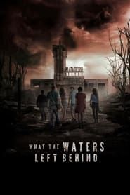 What the Waters Left Behind series tv