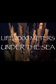 Life 2,000 Meters Under the Sea-hd