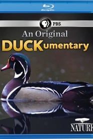 PBS Nature - An Original DUCKumentary (2012)