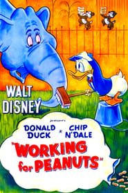 Les Cacahuètes de Donald (1953)
