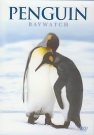 Penguin Baywatch Antarctica series tv
