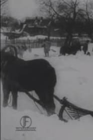 Suur lumetuisk Baltimaal jõulukuul 1913 (1913)