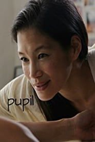 Pupil 2013 streaming