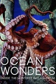 Image Ocean Wonders - Inside the Monterey Bay Aquarium 2015