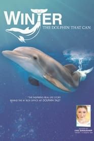 Image Winter, the Dolphin that Can