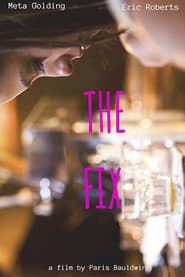 The Fix 2015 streaming