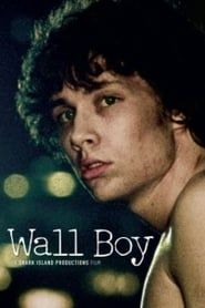 Wall Boy series tv