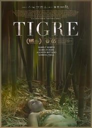 Image Tigre
