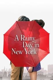 A Rainy Day in New York series tv