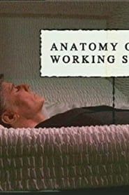 Image Anatomy of a Working Stiff