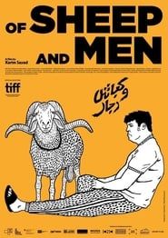 Image Of Sheep and Men