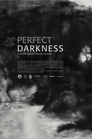 Perfect Darkness series tv