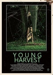 Young Harvest series tv