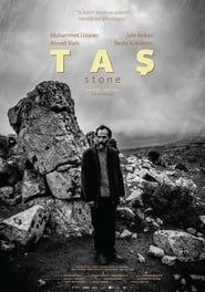 The Stone series tv