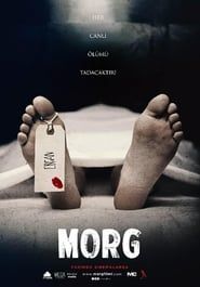 Morg-hd