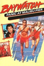 Baywatch: Panic at Malibu Pier series tv