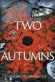 Image Two Autumns: Andy Goldsworthy 1992