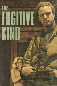 The Fugitive Kind series tv