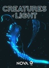 Creatures of Light series tv