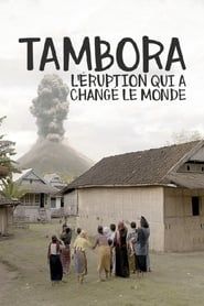Image Tambora, l’éruption qui a changé le monde
