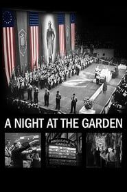 A Night at the Garden series tv