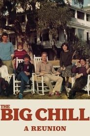 The Big Chill: A Reunion series tv