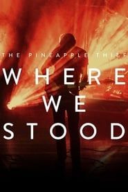The Pineapple Thief: Where We Stood series tv