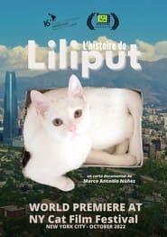 Liliput's Story series tv