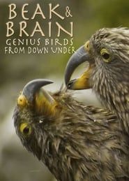 Beak & Brain - Genius Birds from Down Under series tv