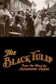 Image The Black Tulip 1921