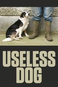 Image Useless Dog