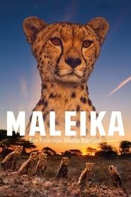 Maleika 2017 streaming