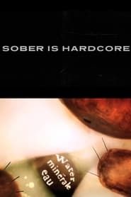 Sober is Hardcore series tv