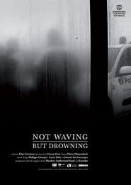 Image Not Waving, But Drowning 2010