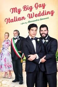 My Big Gay Italian Wedding series tv