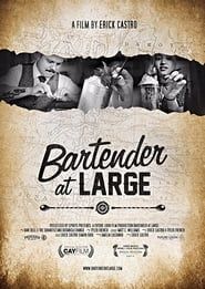 Bartender At Large series tv