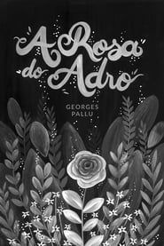 A Rosa do Adro series tv