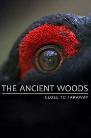 The Ancient Woods series tv