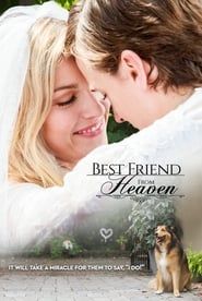 Best Friend from Heaven series tv