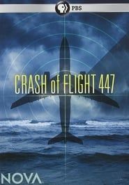 Crash of Flight 447 series tv