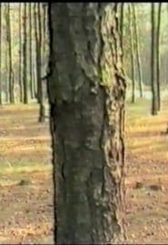 Taniec z drzewami (1985)