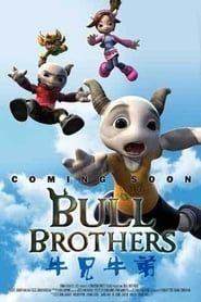Bull Brothers series tv