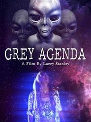 Grey Agenda series tv