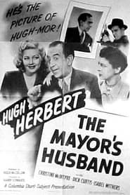 The Mayor's Husband series tv