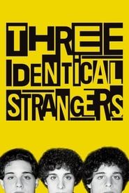 Three Identical Strangers series tv