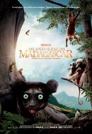 Madagascar: Legends of Lemur Island  streaming