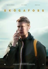 Skógafoss (2017)