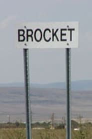 Brocket 99: Rockin' the Country series tv